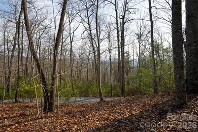 29 Open Ridge Trail, Pisgah Forest, NC 28768 - Photo 3