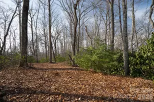 29 Open Rdg Trl, Pisgah Forest, NC 28768 - Photo 1