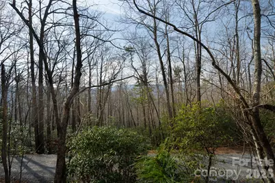29 Open Ridge Trail, Pisgah Forest, NC 28768 - Photo 13