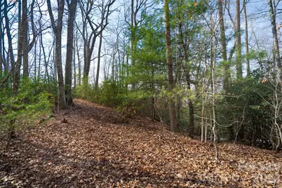 29 Open Ridge Trail, Pisgah Forest, NC 28768 - Photo 9