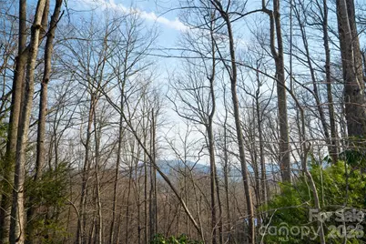 29 Open Ridge Trail, Pisgah Forest, NC 28768 - Photo 11