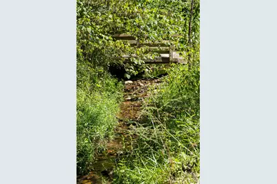 15 Wolfe Cove Road, Asheville, NC 28804 - Photo 37