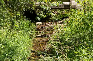 15 Wolfe Cove Rd, Asheville, NC 28804 - Photo 37