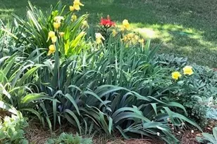 13824 Glen Abbey Dr, Charlotte, NC 28278 - Photo 45