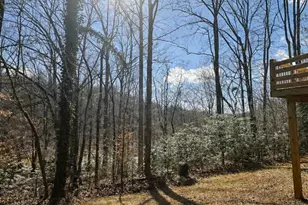 295 Moore Dr, Marion, NC 28752 - Photo 3