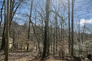 295 Moore Dr, Marion, NC 28752 - Photo 21