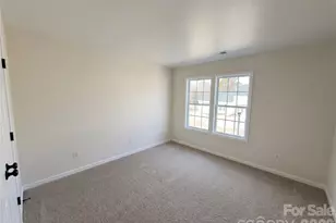 11288 Lions Mane St, Charlotte, NC 28273 - Photo 15