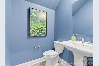 463 Nash Street, Fort Mill, SC 29715 - Photo 17