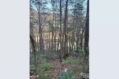 Lot 20 Nicklaus Lane, Lake Lure, NC 28746 - Photo 3