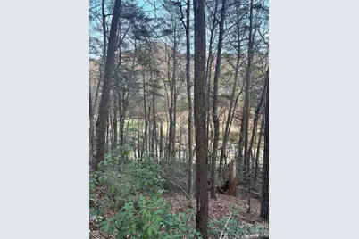 Lot 20 Nicklaus Lane, Lake Lure, NC 28746 - Photo 1