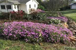 20 Ridge Cross Rd, Asheville, NC 28805 - Photo 43