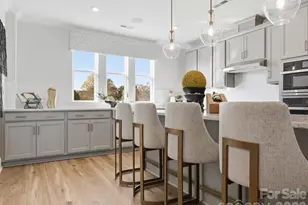 6009 Yellow Buckeye Dr, Charlotte, NC 28277 - Photo 17