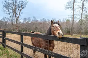 3603 W Stage Coach Trail, Shelby, NC 28150 - Photo 33