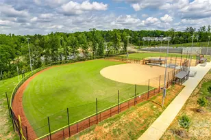 421 Brier Knob Dr, Fort Mill, SC 29715 - Photo 45