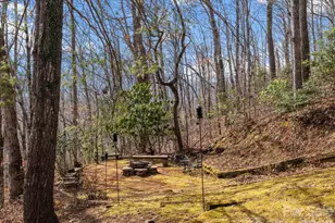 200 Canterbury Rd, Cullowhee, NC 28723 - Photo 41