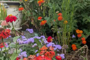 237 Jefferson Ave NE, Concord, NC 28025 - Photo 13