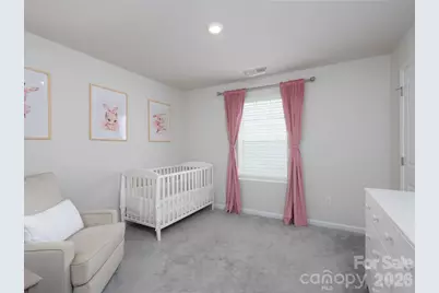 2925 Legacy Ridge Lane, Catawba, NC 28609 - Photo 19