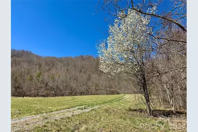 99999 North Fork Road, Barnardsville, NC 28709 - Photo 9