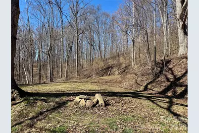 99999 North Fork Road, Barnardsville, NC 28709 - Photo 11