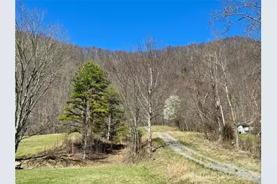 99999 North Fork Road, Barnardsville, NC 28709 - Photo 7
