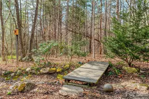 203 Heathcote Rd, Hendersonville, NC 28791 - Photo 39