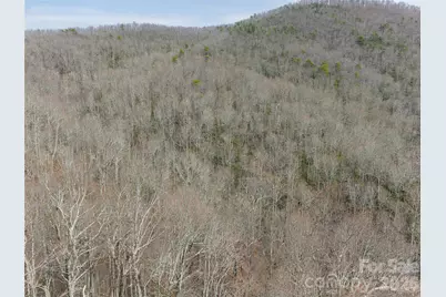 99999 Nc 9 Highway, Black Mountain, NC 28711 - Photo 7