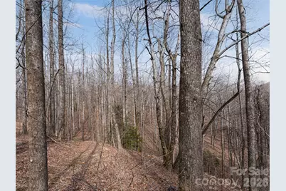 99999 Nc 9 Highway, Black Mountain, NC 28711 - Photo 21
