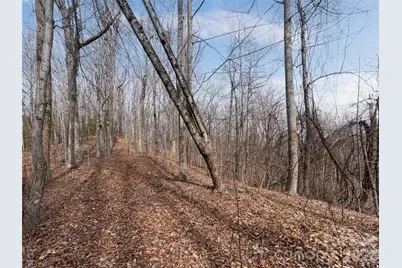 99999 Nc 9 Highway, Black Mountain, NC 28711 - Photo 27