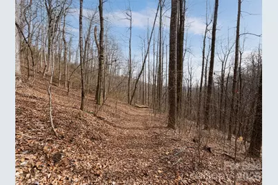 99999 Nc 9 Highway, Black Mountain, NC 28711 - Photo 25