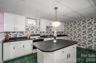 221 Lee Black Rd, Cherryville, NC 28021 - Photo 43