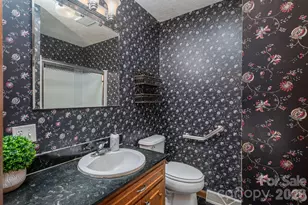 221 Lee Black Rd, Cherryville, NC 28021 - Photo 37