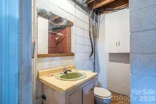 221 Lee Black Rd, Cherryville, NC 28021 - Photo 47