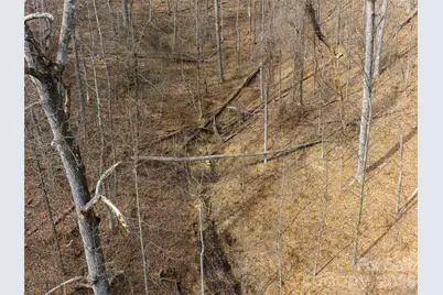 99999 Nc 9 Highway, Black Mountain, NC 28711 - Photo 15