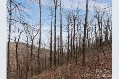 99999 Nc 9 Highway, Black Mountain, NC 28711 - Photo 23