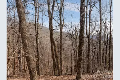 99999 Nc 9 Highway, Black Mountain, NC 28711 - Photo 31