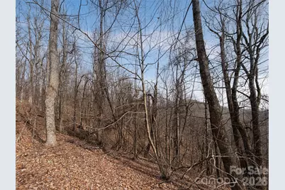 99999 Nc 9 Highway, Black Mountain, NC 28711 - Photo 29