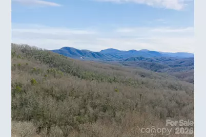 99999 Nc 9 Highway, Black Mountain, NC 28711 - Photo 11