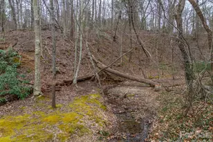 15 Meadowlark Dr, Tryon, NC 28782 - Photo 45