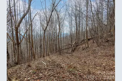 Lot 56 White Oak Mountain Road #56, Columbus, NC 28722 - Photo 7