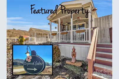 225 Pike Point, Waynesville, NC 28785 - Photo 3