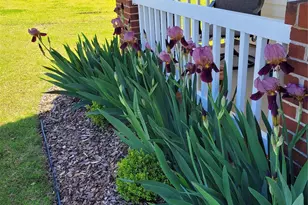 1007 Little Rock Ct, Monroe, NC 28110 - Photo 3