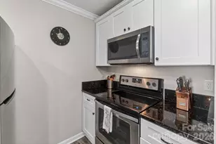 18695 Vineyard Point Ln, Cornelius, NC 28031 - Photo 9