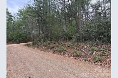 Tbd Deer Antler Drive #82, Purlear, NC 28665 - Photo 15