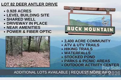 Tbd Deer Antler Drive #82, Purlear, NC 28665 - Photo 1
