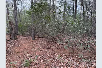 Tbd Deer Antler Drive #82, Purlear, NC 28665 - Photo 11