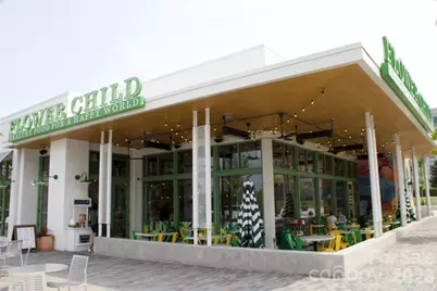 10879 Rogalla Drive, Charlotte, NC 28277 - Photo 37