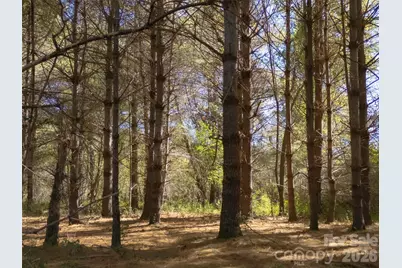 Tbd Hart Road, Pisgah Forest, NC 28768 - Photo 19