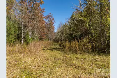 Tbd Hart Road, Pisgah Forest, NC 28768 - Photo 41