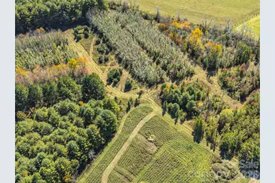 Tbd Hart Road, Pisgah Forest, NC 28768 - Photo 23