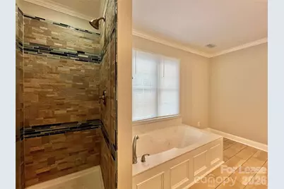 8010 Silver Maple Lane, Mint Hill, NC 28227 - Photo 23